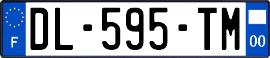 DL-595-TM