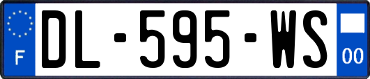 DL-595-WS