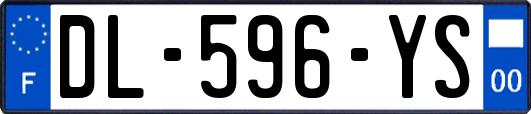 DL-596-YS