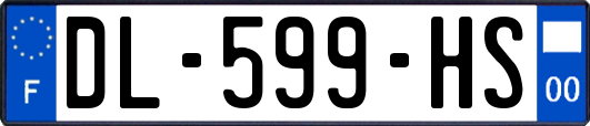 DL-599-HS