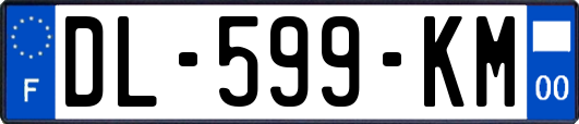 DL-599-KM