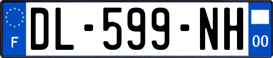 DL-599-NH