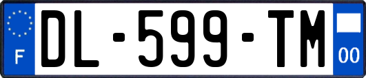 DL-599-TM