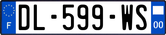 DL-599-WS