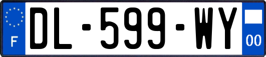 DL-599-WY