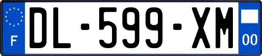 DL-599-XM