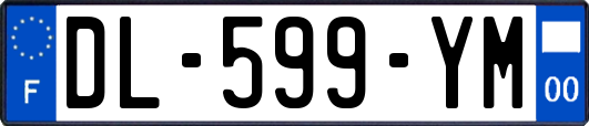 DL-599-YM