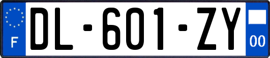 DL-601-ZY