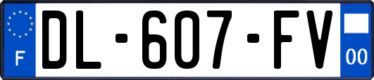 DL-607-FV