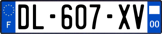 DL-607-XV