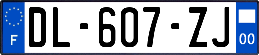 DL-607-ZJ