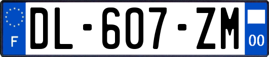 DL-607-ZM