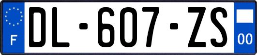 DL-607-ZS