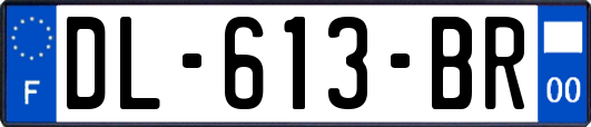 DL-613-BR