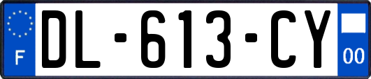 DL-613-CY