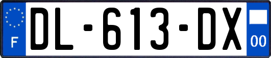 DL-613-DX