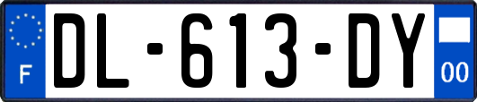 DL-613-DY