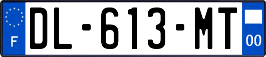 DL-613-MT