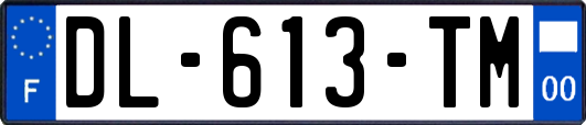 DL-613-TM