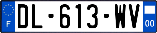 DL-613-WV