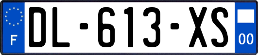 DL-613-XS