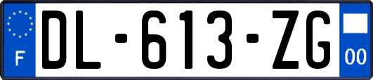 DL-613-ZG