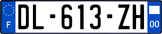 DL-613-ZH