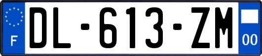 DL-613-ZM