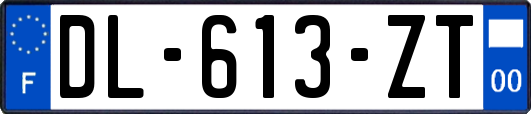 DL-613-ZT