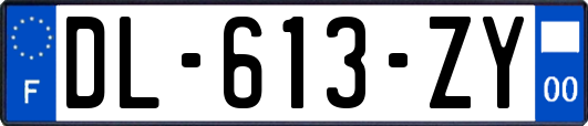 DL-613-ZY