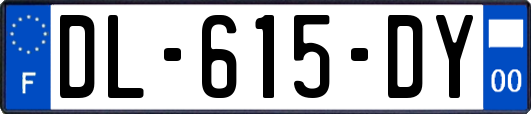 DL-615-DY