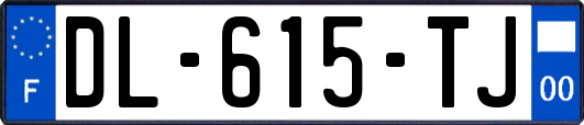 DL-615-TJ