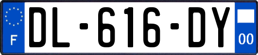 DL-616-DY