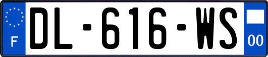 DL-616-WS