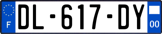 DL-617-DY