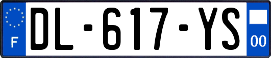 DL-617-YS