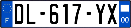 DL-617-YX