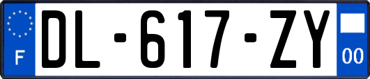 DL-617-ZY