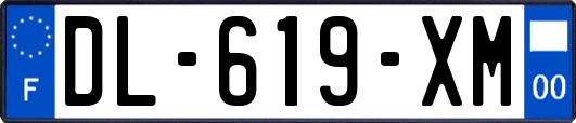 DL-619-XM