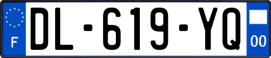 DL-619-YQ