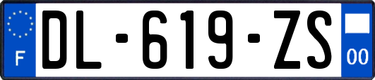 DL-619-ZS