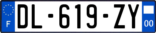 DL-619-ZY