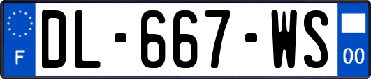 DL-667-WS