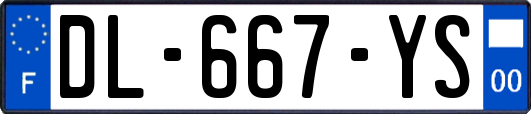 DL-667-YS