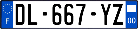 DL-667-YZ