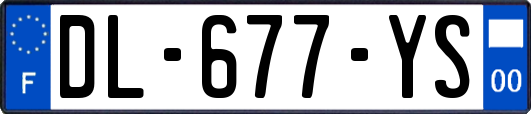 DL-677-YS