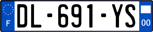 DL-691-YS
