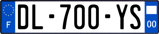 DL-700-YS