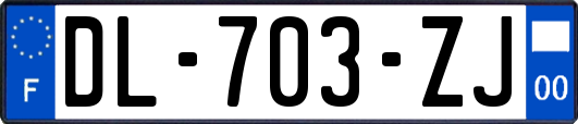 DL-703-ZJ