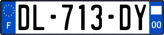 DL-713-DY